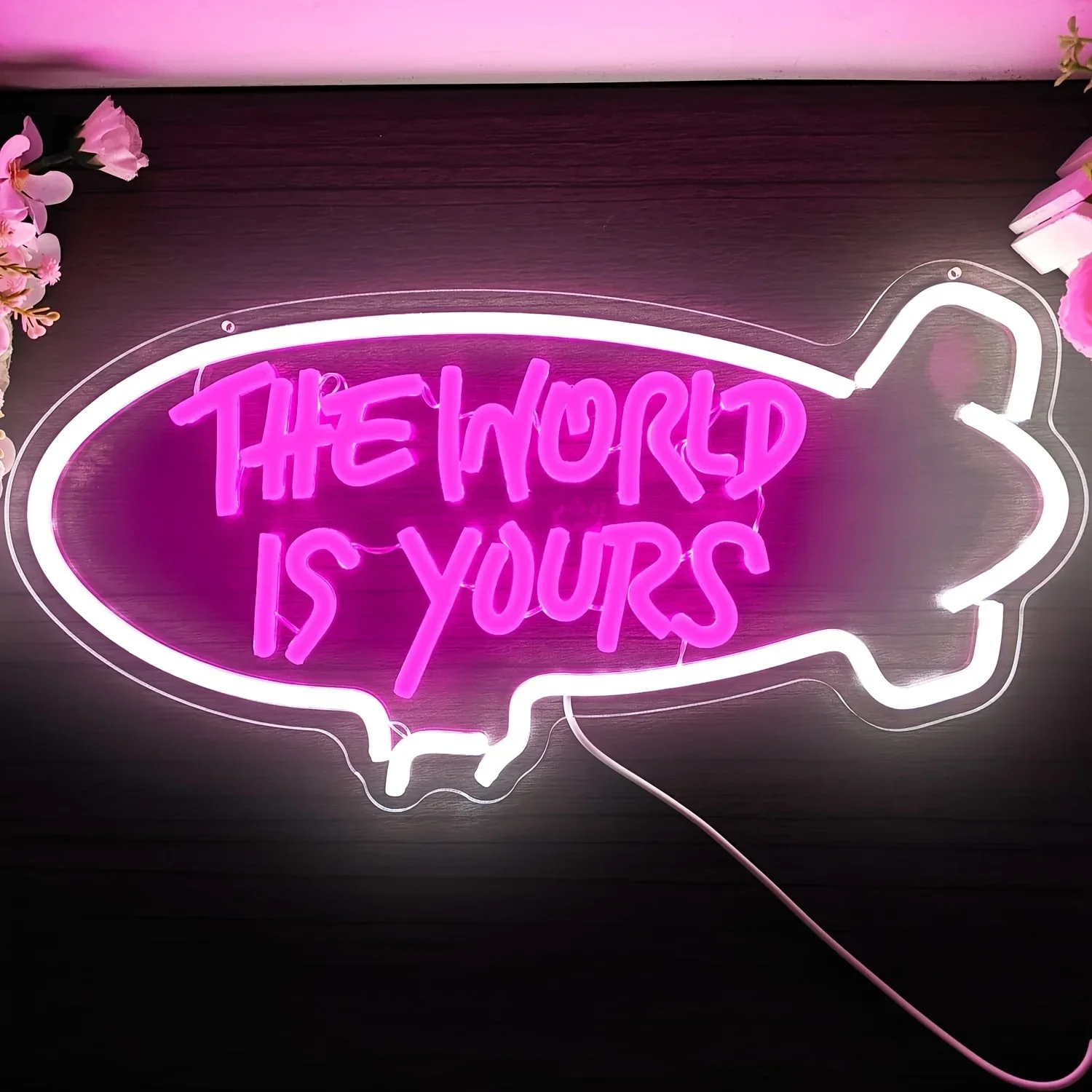 Outdoor Lighting For Your Home - The World Is Yours Blimp Neon-Schild